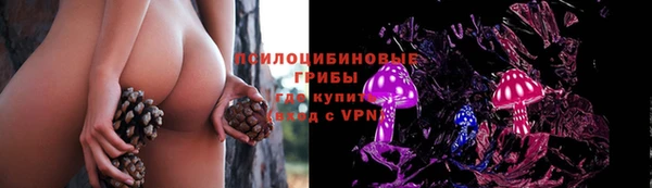 хмурый Заводоуковск