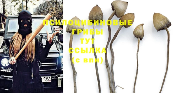 хмурый Заводоуковск