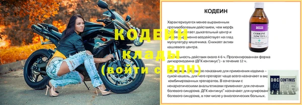 хмурый Заводоуковск