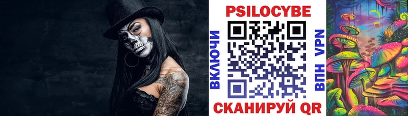 Псилоцибиновые грибы Psilocybine cubensis  Купить закладки  Гусев 